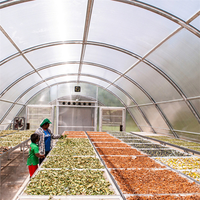 Pengeringan Lingkungan Terkontrol Rumah Kaca Dengan Papan PC Untuk Pengeringan Rumput Dan Buah