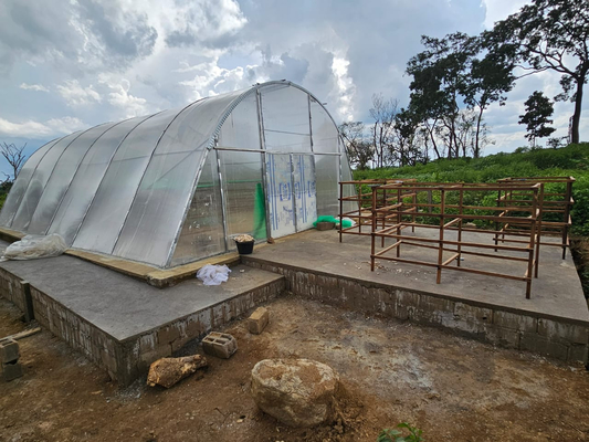 Rumah kaca pengeringan papan PC tahan lama dengan ventilasi canggih untuk pengeringan herbal dengan hasil tinggi