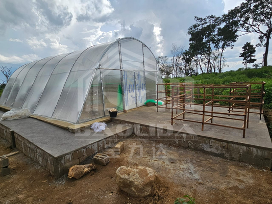 Rumah Kaca Pengeringan Cerdas yang Dapat Dikustomisasi untuk Sayuran dan Buah-buahan di Lingkungan yang Dikendalikan