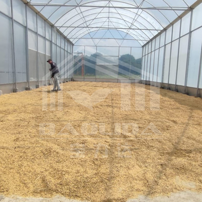 Rumah kaca terowongan tinggi dengan struktur baja tahan lama untuk pertanian