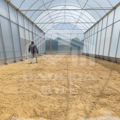 Rumah kaca terowongan tinggi dengan struktur baja tahan lama untuk pertanian