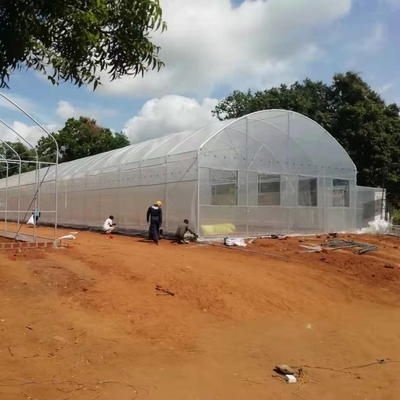 Galvanis Pipe Frame Tunnel Greenhouse Dengan Isolasi Optimal