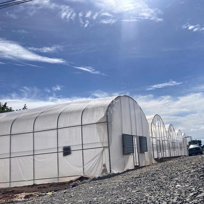 Galvanis Pipe Frame Tunnel Greenhouse Dengan Isolasi Optimal