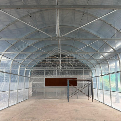 Galvanis Pipe Frame Tunnel Greenhouse Dengan Isolasi Optimal