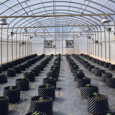 Galvanis Pipe Frame Tunnel Greenhouse Dengan Isolasi Optimal