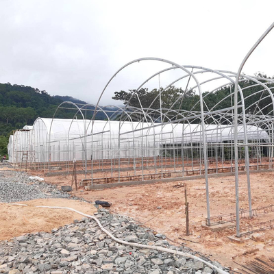 Galvanis Pipe Frame Tunnel Greenhouse Dengan Isolasi Optimal