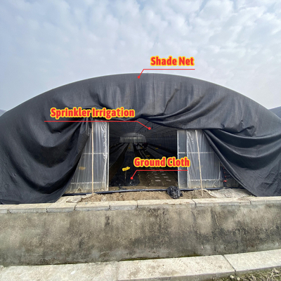Rumah kaca terowongan jamur buah profesional dengan film dan bahan penutup jaring bayangan