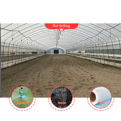 Sayuran Jamur Tanaman Shading Greenhouse Dengan Hitam Putih Penutup Dan Film Shade Net