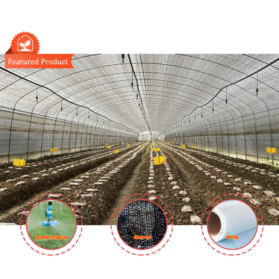Sayuran Jamur Tanaman Shading Greenhouse Dengan Hitam Putih Penutup Dan Film Shade Net
