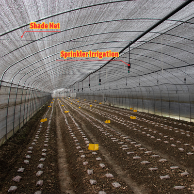 Sayuran Jamur Tanaman Shading Greenhouse Dengan Hitam Putih Penutup Dan Film Shade Net
