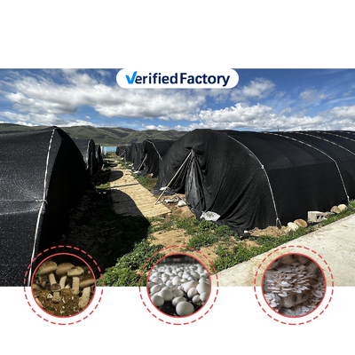 Tinggi sisi 1,2-1,8m dan ruang lengkungan 1-1,5m Jamur Poly Tunnel Greenhouse Dilindungi UV