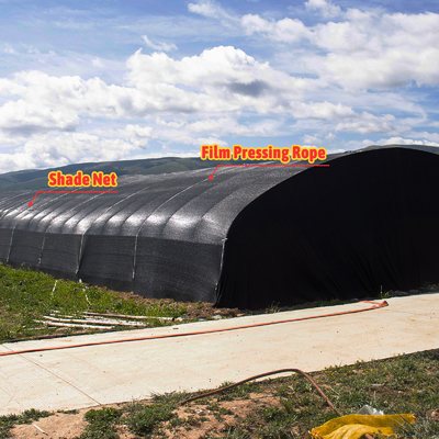 Tinggi sisi 1,2-1,8m dan ruang lengkungan 1-1,5m Jamur Poly Tunnel Greenhouse Dilindungi UV