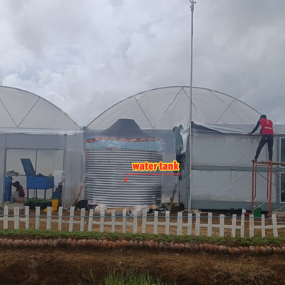 Menanam bunga dan sayuran Rumah kaca Quonset Hut Konservatorium Rumah Pertanian Rumah yang terhubung dengan selokan Rumah kaca besar dengan ventilasi atap