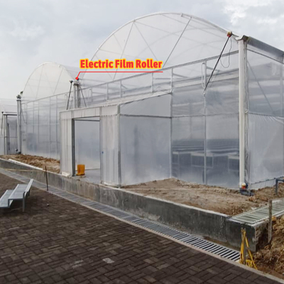 Menanam bunga dan sayuran Rumah kaca Quonset Hut Konservatorium Rumah Pertanian Rumah yang terhubung dengan selokan Rumah kaca besar dengan ventilasi atap