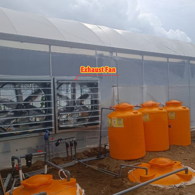 Menanam bunga dan sayuran Rumah kaca Quonset Hut Konservatorium Rumah Pertanian Rumah yang terhubung dengan selokan Rumah kaca besar dengan ventilasi atap