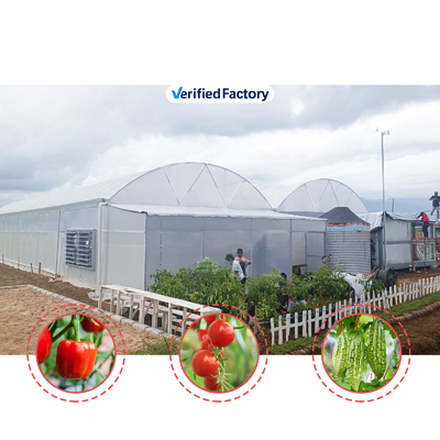 Menanam bunga dan sayuran Rumah kaca Quonset Hut Konservatorium Rumah Pertanian Rumah yang terhubung dengan selokan Rumah kaca besar dengan ventilasi atap
