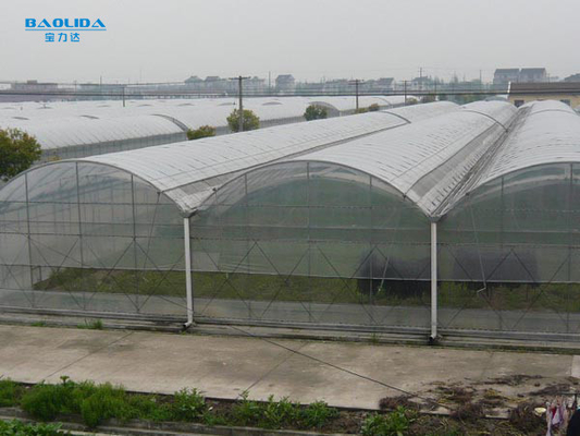Bunga Multi-Tunnel Po Film Multi-Span Rumah Kaca Dengan Peralatan Kontrol Otomatis Modern