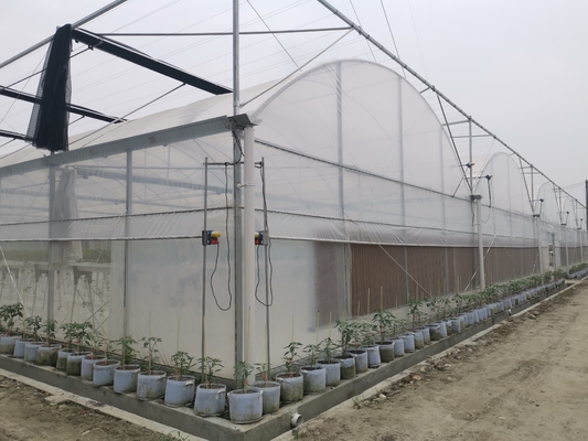 Bunga Multi-Tunnel Po Film Multi-Span Rumah Kaca Dengan Peralatan Kontrol Otomatis Modern