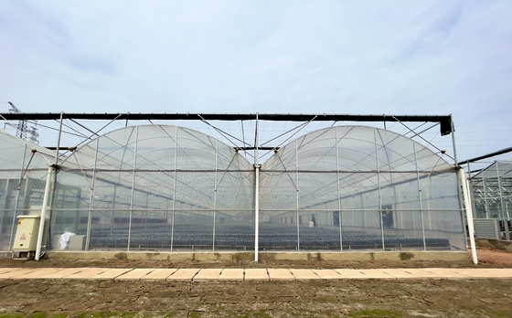 Bunga Multi-Tunnel Po Film Multi-Span Rumah Kaca Dengan Peralatan Kontrol Otomatis Modern