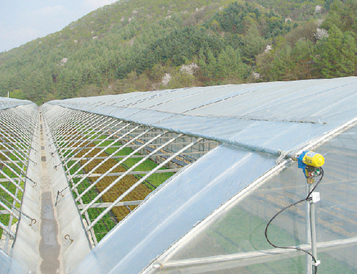 Bunga Multi-Tunnel Po Film Multi-Span Rumah Kaca Dengan Peralatan Kontrol Otomatis Modern