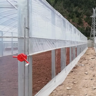 Bunga Multi-Tunnel Po Film Multi-Span Rumah Kaca Dengan Peralatan Kontrol Otomatis Modern
