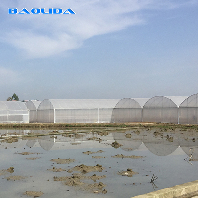 8-60m Panjang Terowongan Tinggi Plastik Film Rumah Kaca ukuran yang dapat disesuaikan Untuk Pertanian Dan Produksi Bunga