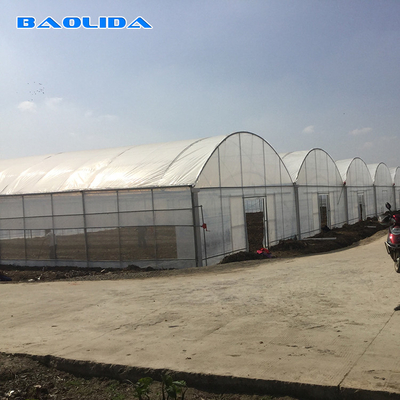 8-60m Panjang Terowongan Tinggi Plastik Film Rumah Kaca ukuran yang dapat disesuaikan Untuk Pertanian Dan Produksi Bunga