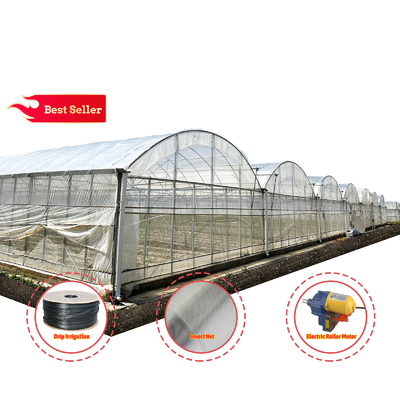 Baolida Sistem Otomatis Custom Rumah Kaca Sistem Hidroponik Tropis Rumah Kaca Biji Multi-span