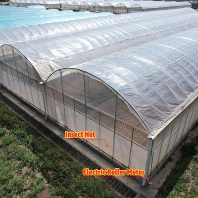 Baolida Sistem Otomatis Custom Rumah Kaca Sistem Hidroponik Tropis Rumah Kaca Biji Multi-span