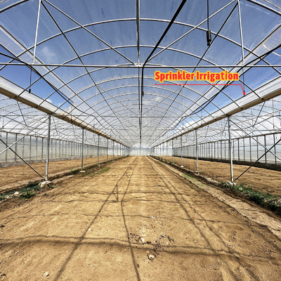 Baolida Sistem Otomatis Custom Rumah Kaca Sistem Hidroponik Tropis Rumah Kaca Biji Multi-span