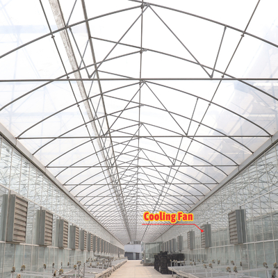 Desain Custom Ekonomi Sistem Shading Otomatis Multi-span Strawberry Greenhouses untuk Buah Sayuran