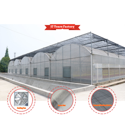 Desain Custom Ekonomi Sistem Shading Otomatis Multi-span Strawberry Greenhouses untuk Buah Sayuran