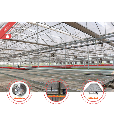 Desain Custom Ekonomi Sistem Shading Otomatis Multi-span Strawberry Greenhouses untuk Buah Sayuran