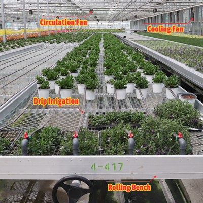 Desain Custom Ekonomi Sistem Shading Otomatis Multi-span Strawberry Greenhouses untuk Buah Sayuran