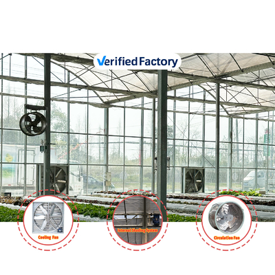 Produksi Sayuran Benih Pertanian Strawberry Rumah kaca Multi Tunnel