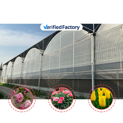 Rumah Kaca Terowongan Pertanian Film Plastik Multi-Span Rumah Kaca Strawberry untuk Dijual Dengan Sistem Ventilasi