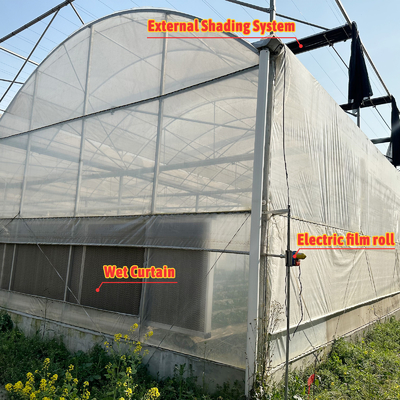 Rumah Kaca Terowongan Pertanian Film Plastik Multi-Span Rumah Kaca Strawberry untuk Dijual Dengan Sistem Ventilasi