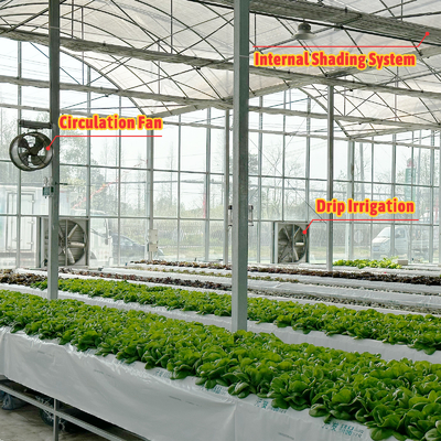 Rumah Kaca Terowongan Pertanian Film Plastik Multi-Span Rumah Kaca Strawberry untuk Dijual Dengan Sistem Ventilasi