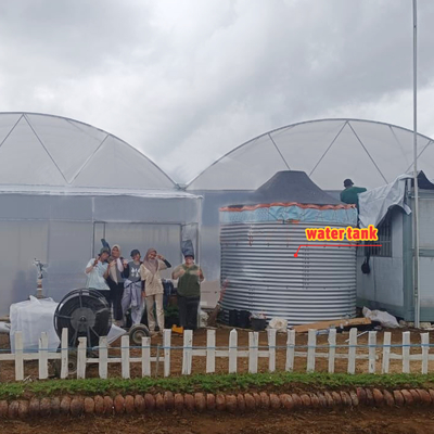 Rumah Kaca Pertanian Multi-Span Lebar 6m-12m dengan Film PE 150/200mikron
