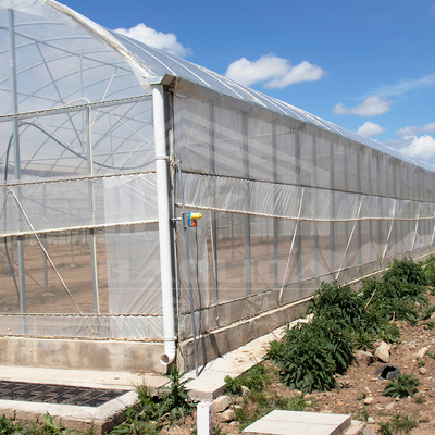 24m x 40m Multi-Span Greenhouse dengan 150 Mikron PE Film Cover
