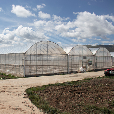 24m x 40m Multi-Span Greenhouse dengan 150 Mikron PE Film Cover