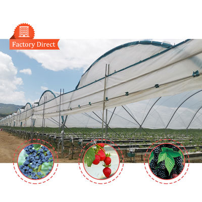 BAOLIDA Multi-Span Greenhouse 10-70m Panjang untuk Budidaya Berry