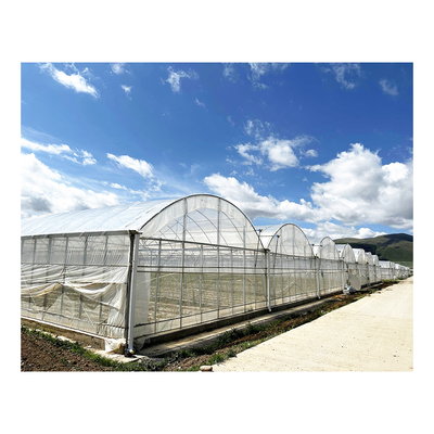BAOLIDA 24x40m Single-Span Rumah Kaca dengan 150mikron PE Film