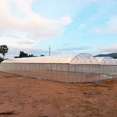 BAOLIDA 24x40m Single-Span Rumah Kaca dengan 150mikron PE Film