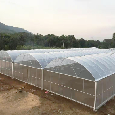 BAOLIDA 24x40m Single-Span Rumah Kaca dengan 150mikron PE Film