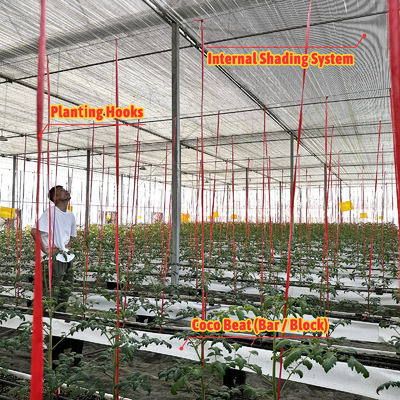 Rumah Kaca Multi-Span Lebar 6.8m dengan Film PE 100-200mikron