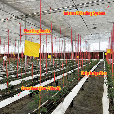 Kerangka Baja Galvanis Rumah Kaca 6m-12m Span dengan 150/200mikron PE Film