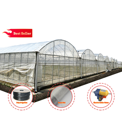 24x40m Galvanized Steel Greenhouse dengan 150mikron PE Film