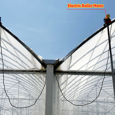 24x40m Galvanized Steel Greenhouse dengan 150mikron PE Film