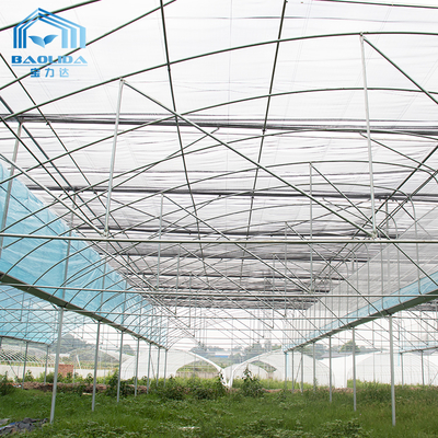 Kit Rumah Kaca Film PE Multi-Span 6m-12m dengan Garansi 10 Tahun